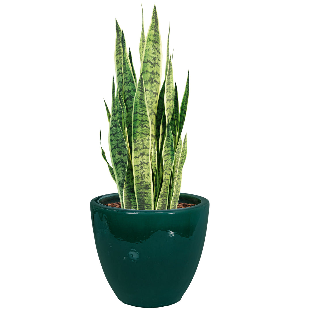 Round Glazed Ceramic Planter with Drainage