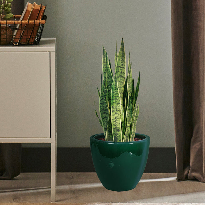 Round Glazed Ceramic Planter with Drainage