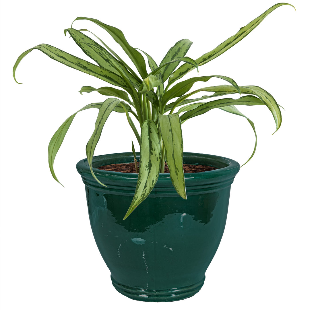 Round Glazed Ceramic Planter with Drainage