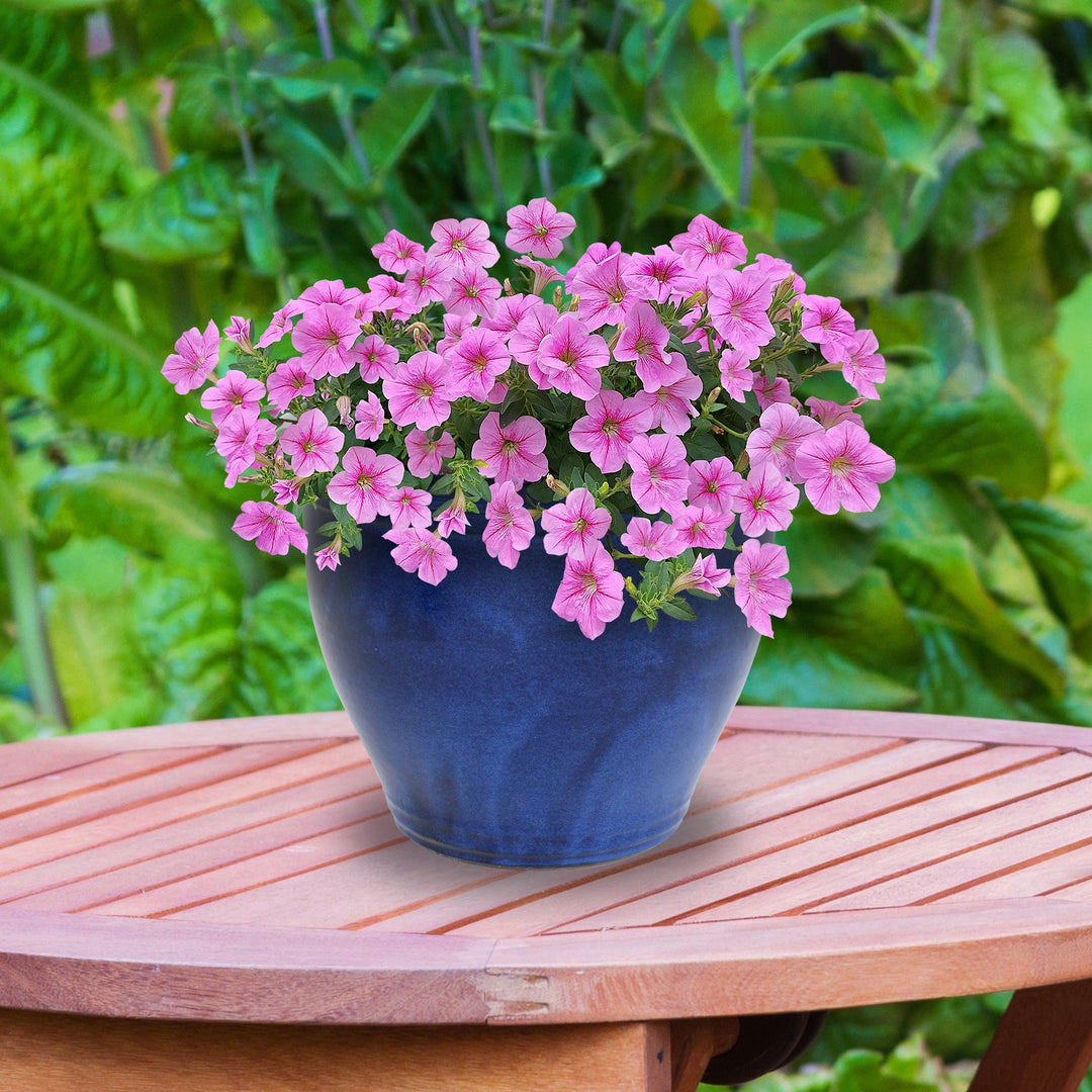 Round Glazed Ceramic Planter with Drainage