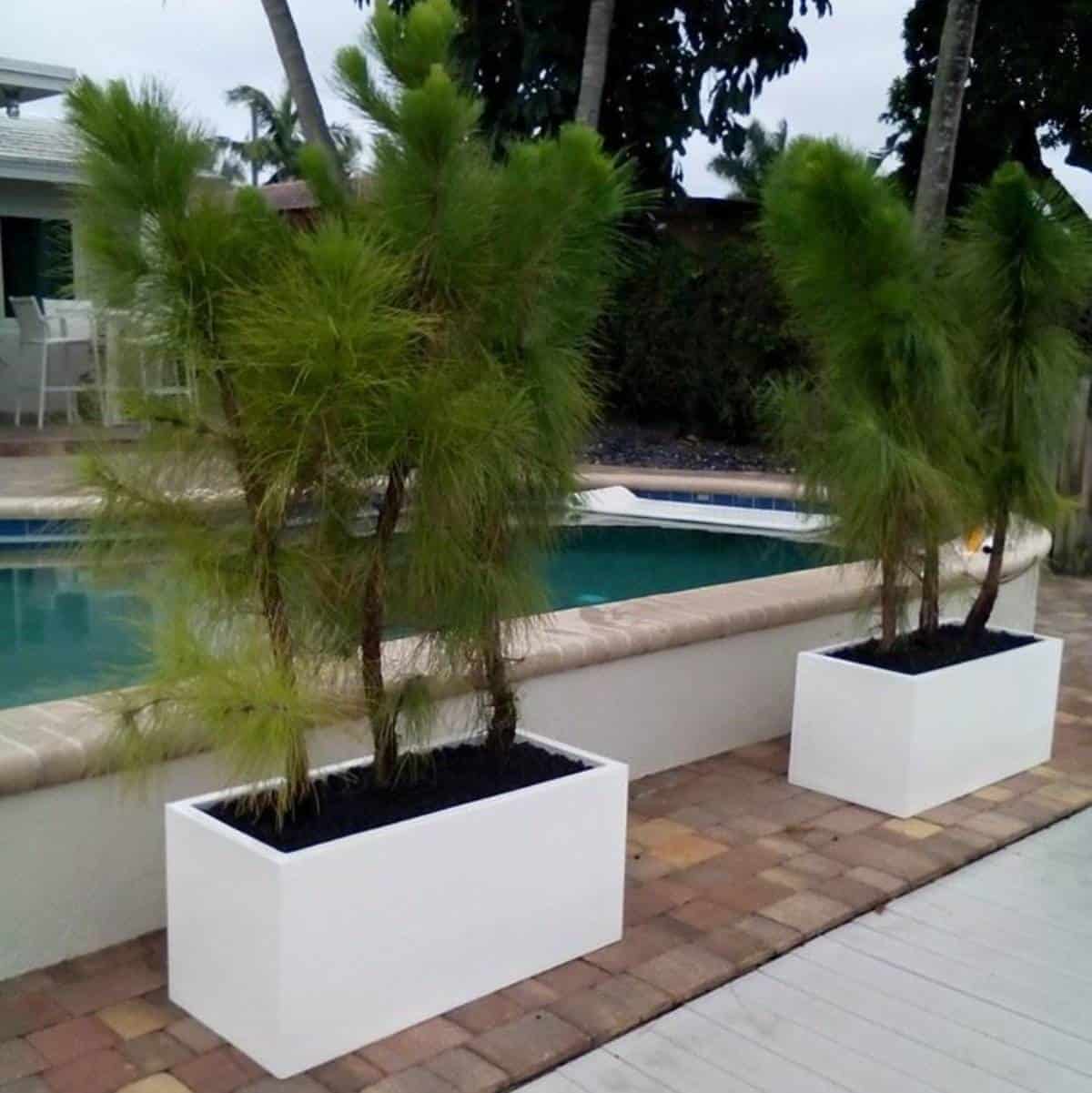 Jay Scotts Torino Wide Rectangle Planter
