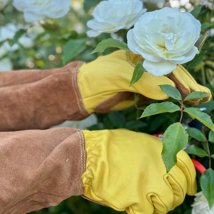 Rose Pruning Gloves – Long Soft Cowhide Garden Gloves
