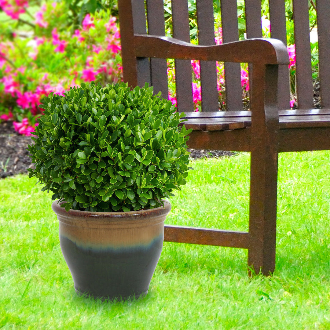 Round Glazed Ceramic Planter with Drainage