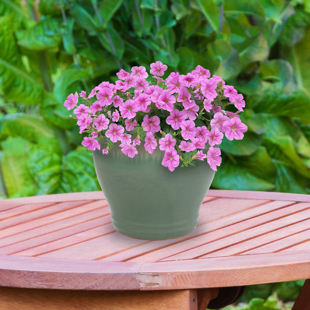 Round Glazed Ceramic Planter with Drainage