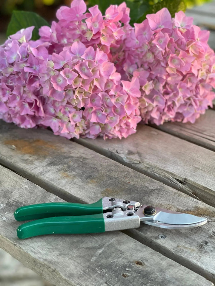 Rose Gardener Gift Box | Rose Gloves, Belt &amp; Pruners