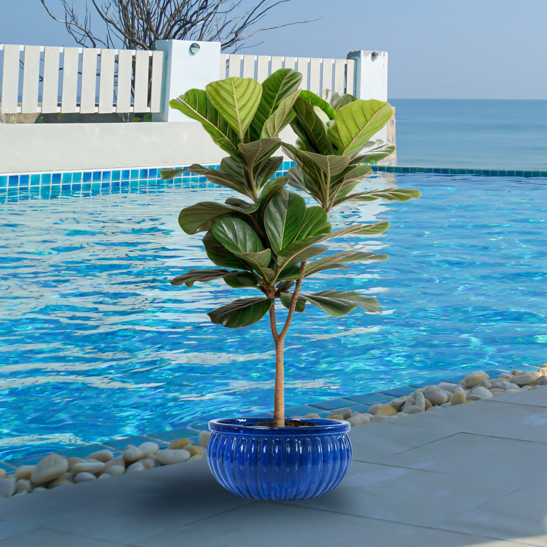 Ribbed Glazed Ceramic Planter Bowl - Imperial Blue