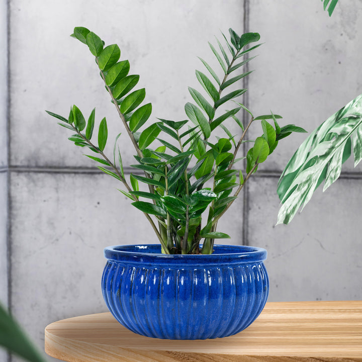 Ribbed Glazed Ceramic Planter Bowl - Imperial Blue