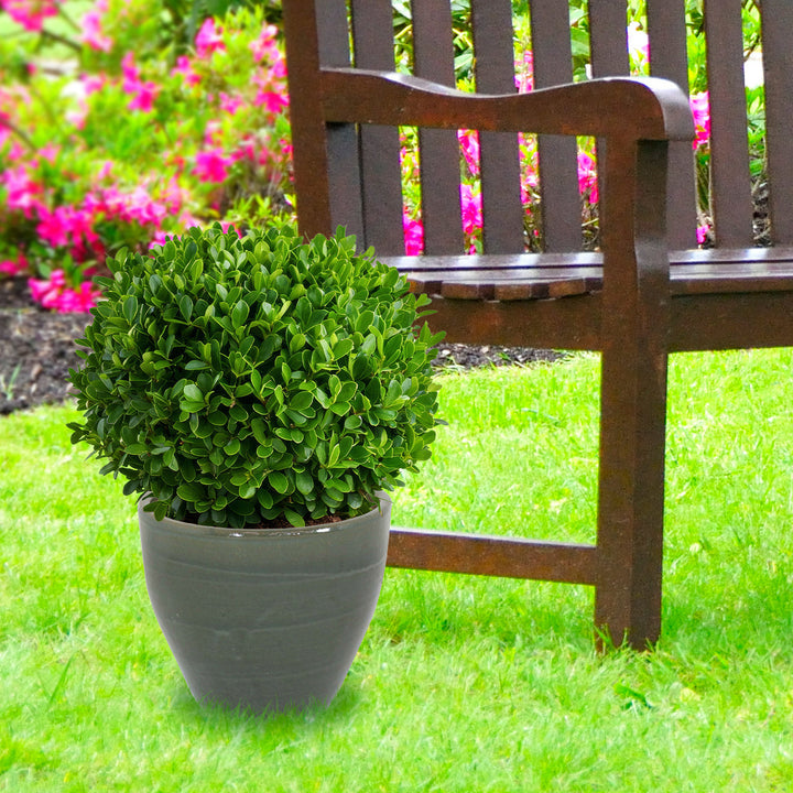 Round Glazed Ceramic Planter with Drainage