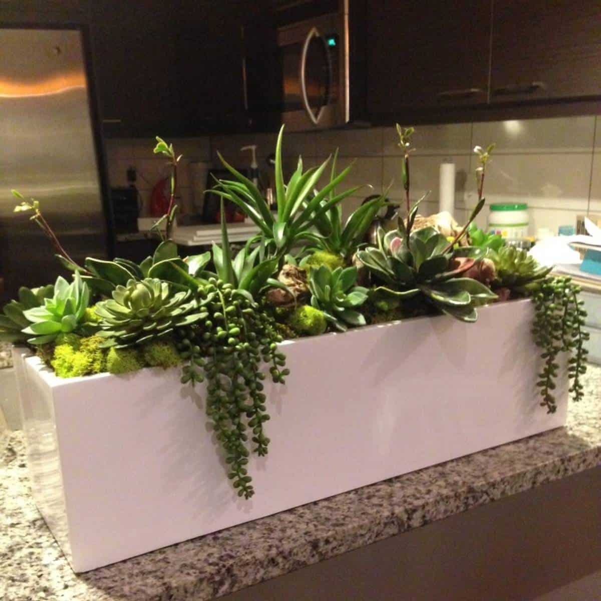 Jay Scotts Vicksburg Rectangular Tabletop Planter