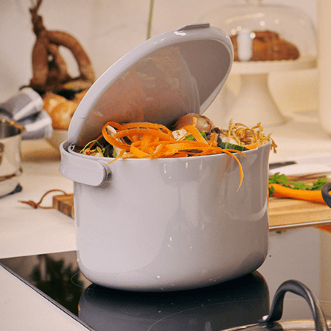 Daily Kitchen Compost Caddy