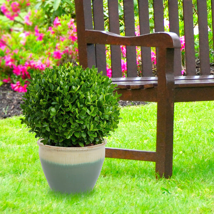 Round Glazed Ceramic Planter with Drainage