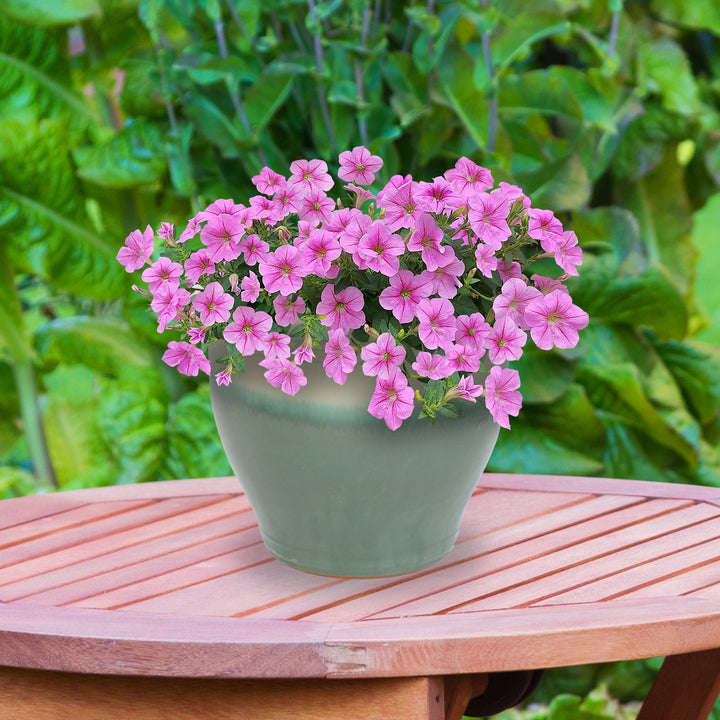 Round Glazed Ceramic Planter with Drainage
