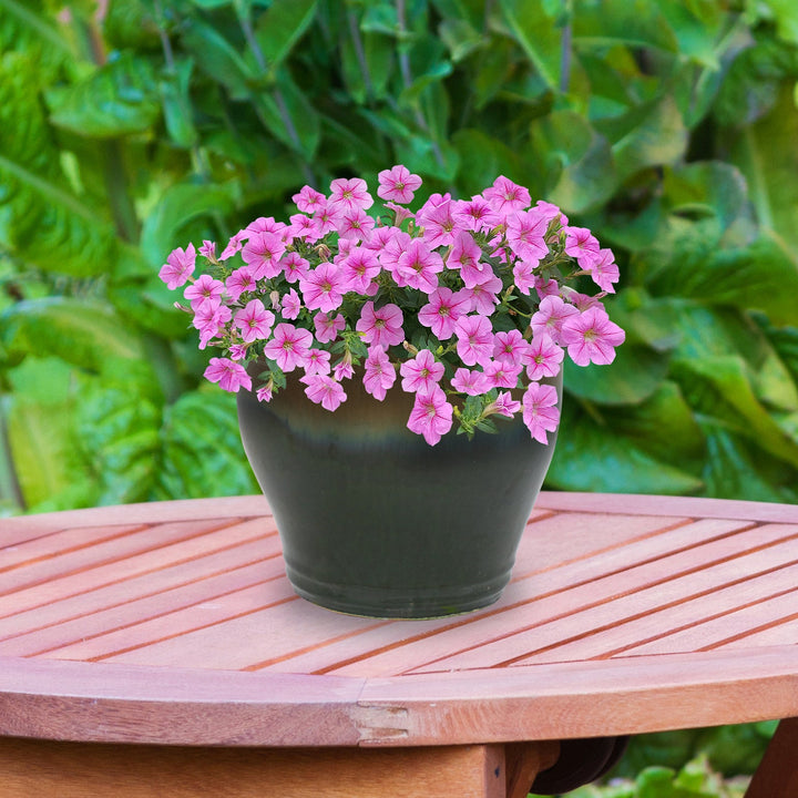 Round Glazed Ceramic Planter with Drainage