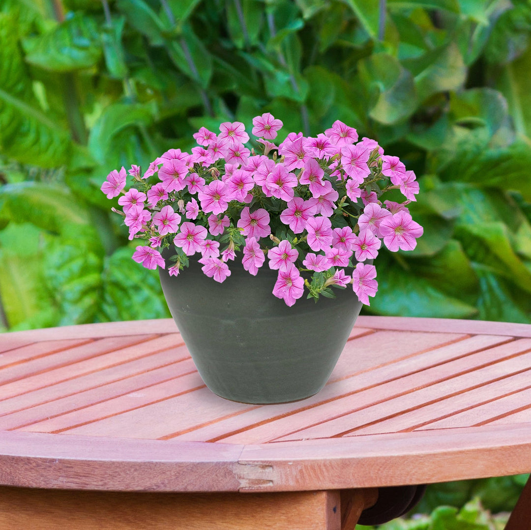 Round Glazed Ceramic Planter with Drainage