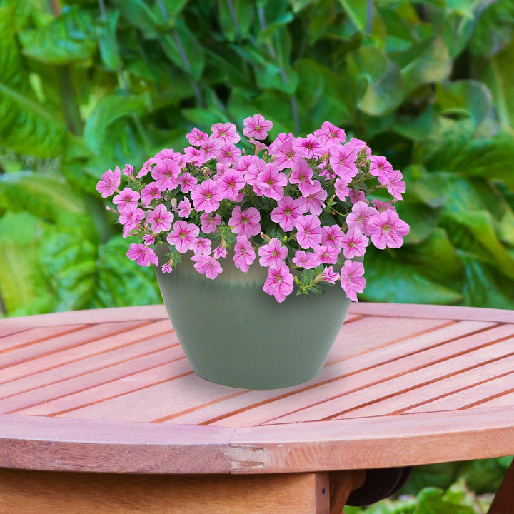 Round Glazed Ceramic Planter with Drainage
