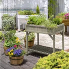 Veg Trug Herb Garden