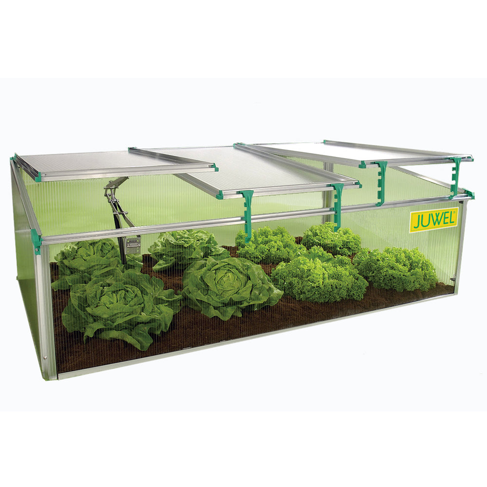 BioStar 1500 Premium Cold-Frame  Made in Austria