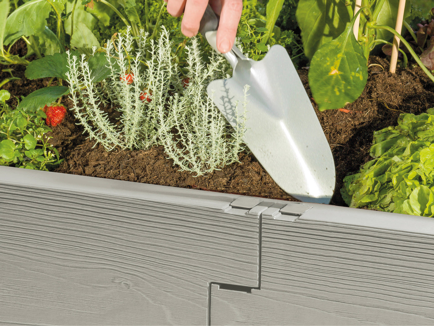 NEW! Combi Dual Function Raised Bed and Cold Frame - Made in Austria