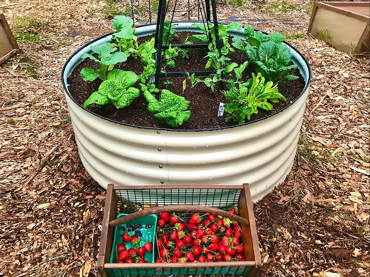 raised garden bed seeds Vego Garden 17" Tall 42" Round Metal Raised Garden Bed – Green Living Supply
