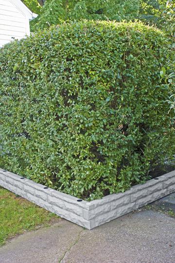 Garden Wizard 2 ft Self Watering Wall Section - GreenLivingSupply-Store