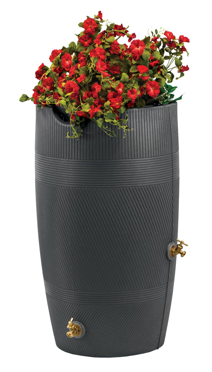 Impressions Havana 50 Gallon Rain Saver
