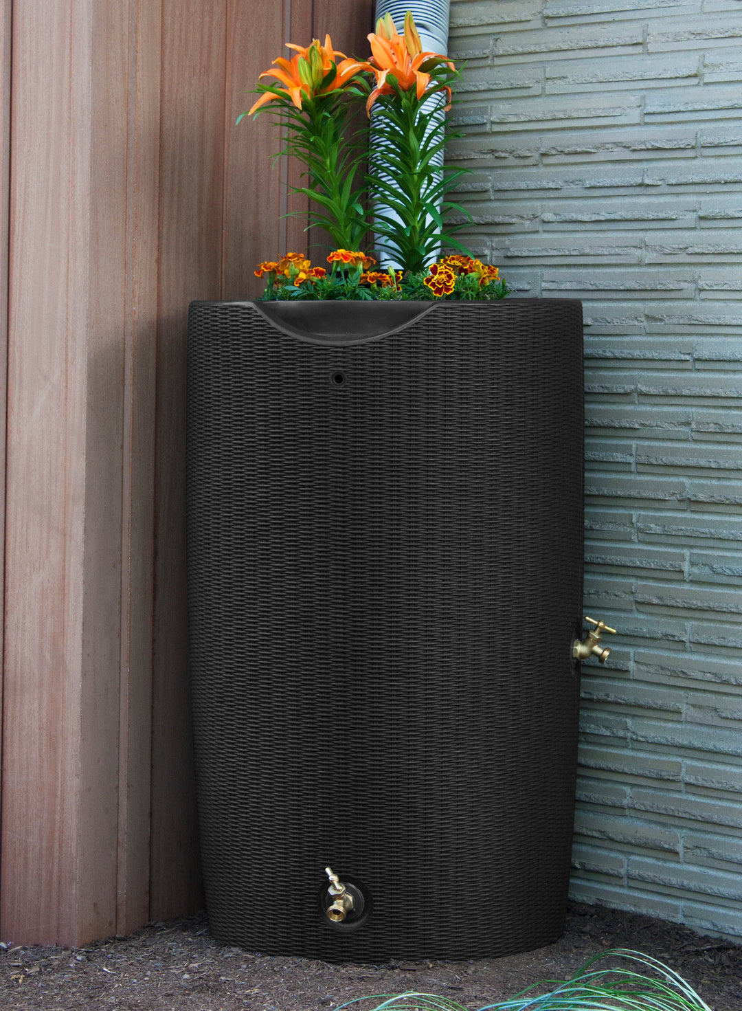 Impressions Bali 50 Gallon Rain Saver
