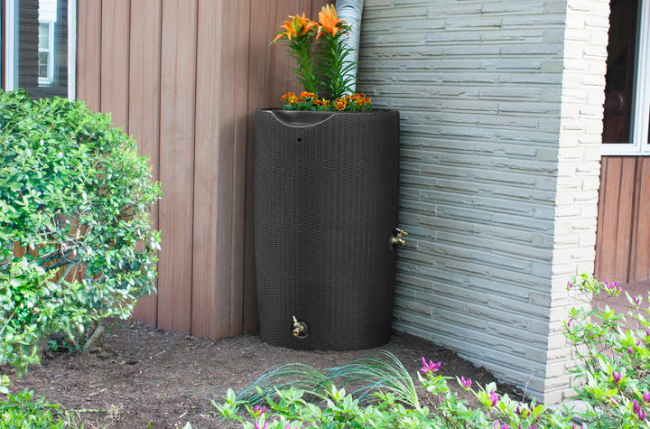 Impressions Bali 50 Gallon Rain Saver