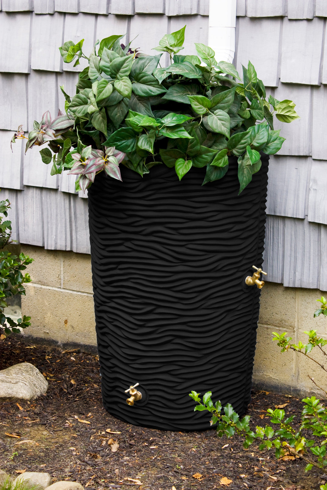 Impressions 50 Gallon Palm Rain Saver