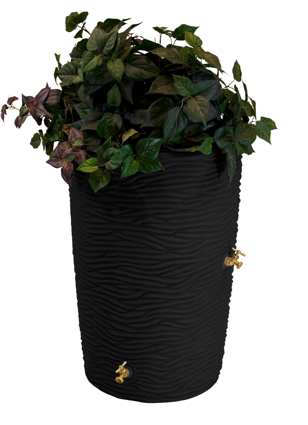 Impressions 50 Gallon Palm Rain Saver