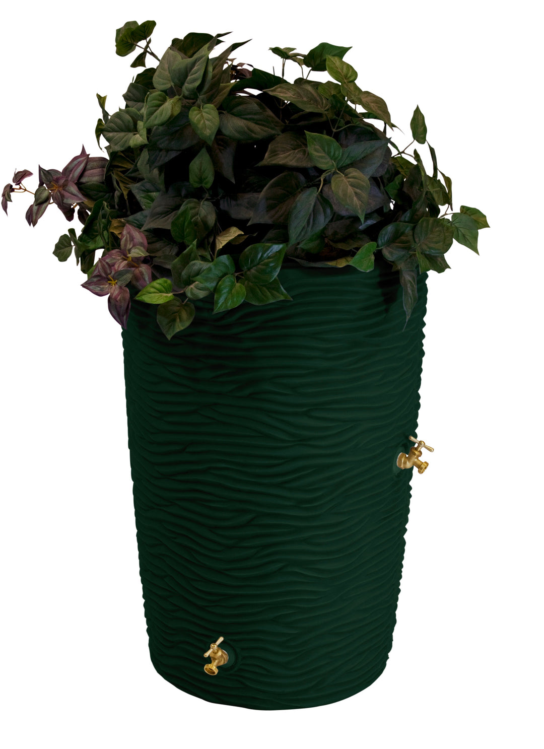 Impressions 50 Gallon Palm Rain Saver