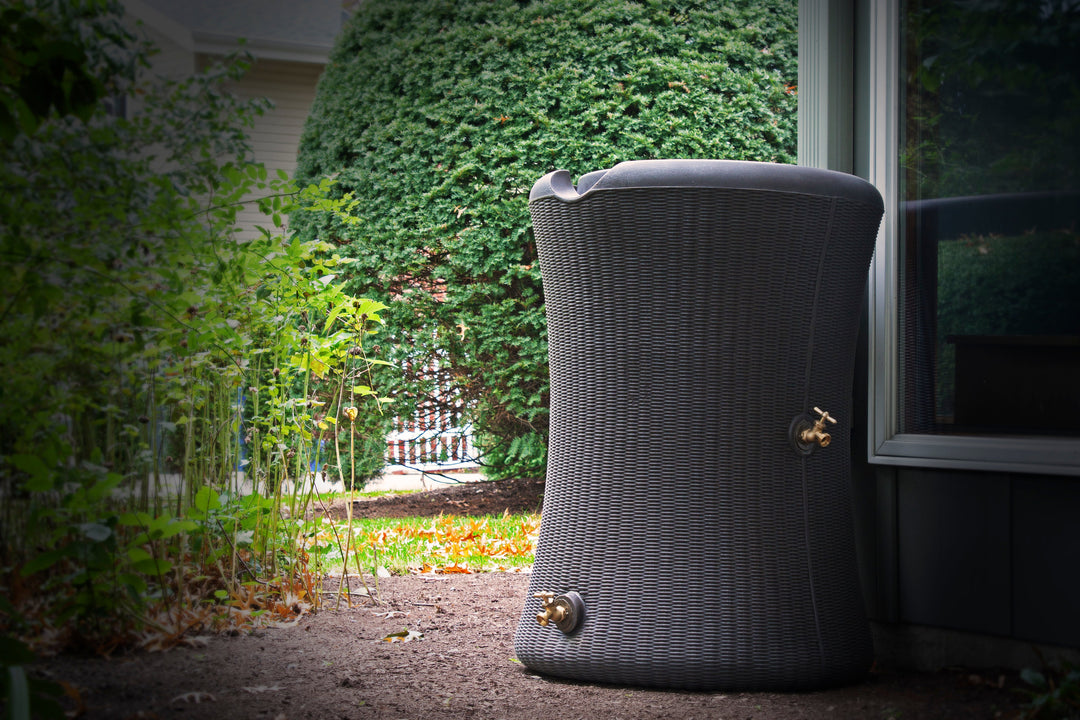 Impressions Willow 65 Gallon Rain Saver