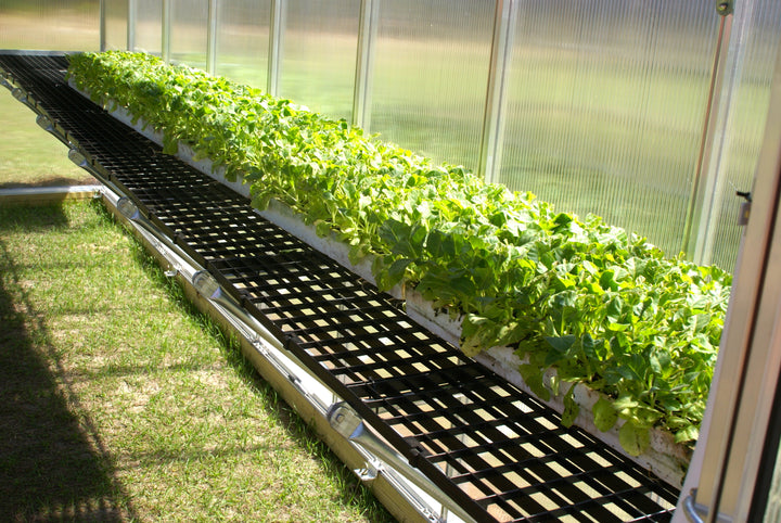 MONT Work Bench System - Made Specifically for Mont Greenhouses