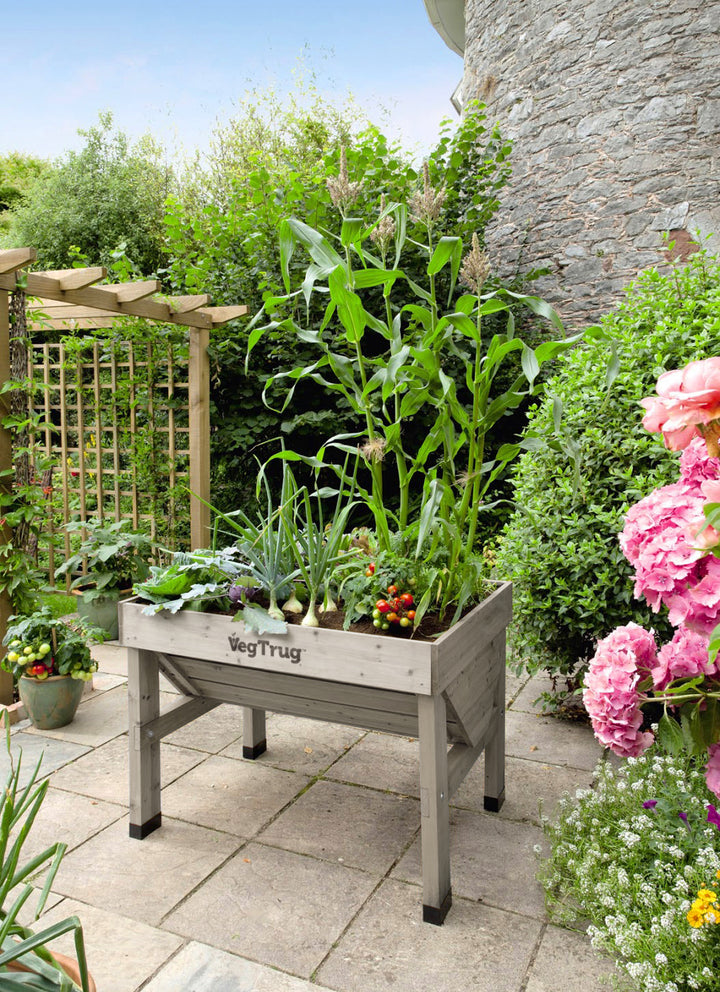 Veg Trug Classic - The Original VegTrug