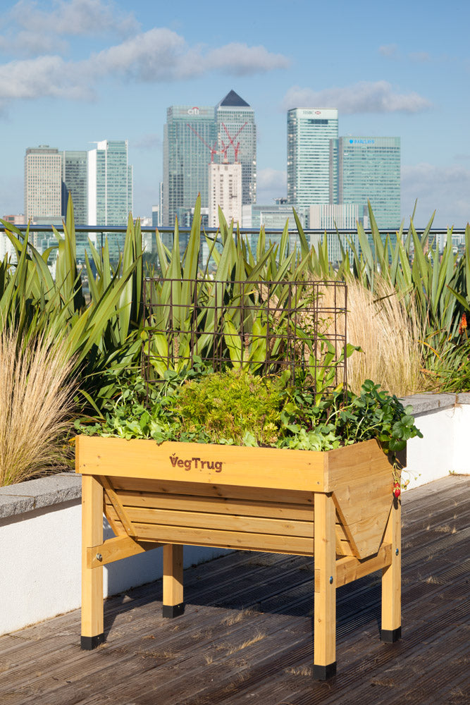 Veg Trug Classic - The Original VegTrug