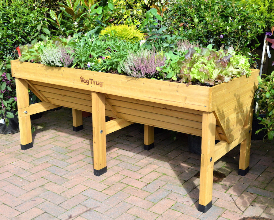 Veg Trug Classic - The Original VegTrug