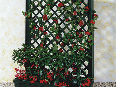 Calypso Planter with Trellis and Water Reservoir