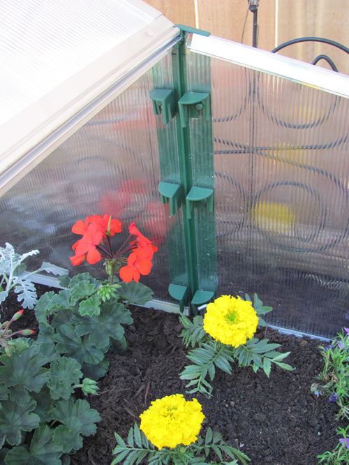 Easy-Fix Double Cold-Frame - Made in Austria By Juwel