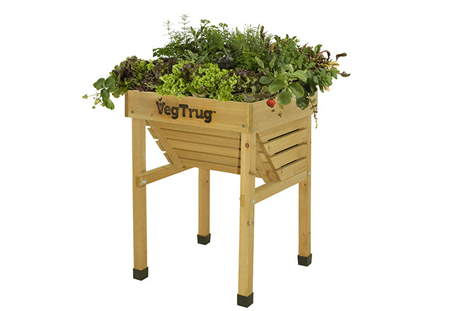 Kids Veg Trug