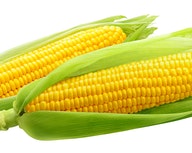Maze Corn Bags for Maze Large 2.4 Gallon Kitchen Caddie- 120 Bags