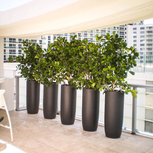 Jay Scotts Saint Tropez Tall Round Fiberglass Planter 12" Dia x 32" Tall