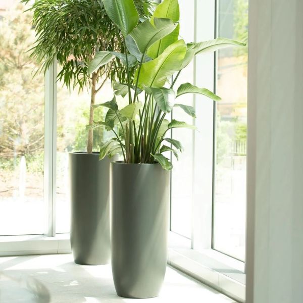 Jay Scotts Saint Tropez Tall Round Fiberglass Planter 16" Dia x 38" Tall