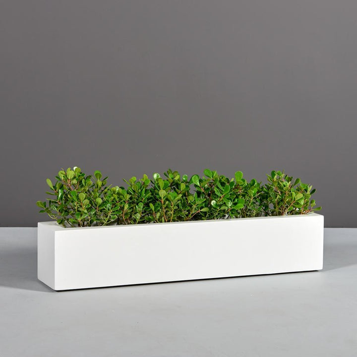 Salon Rectangle Fiberglass Planter- 36" L x 8" W x 8" H