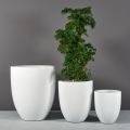 Jay Scotts Valencia Tapered Round Fiberglass Planter 20" Dia x 23" Tall